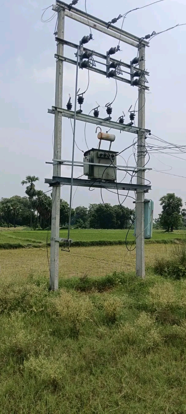 धान रोपनी के दौरान करंट की चपेट में आईं तीन महिलाएं, एक की मौत, दो घायल